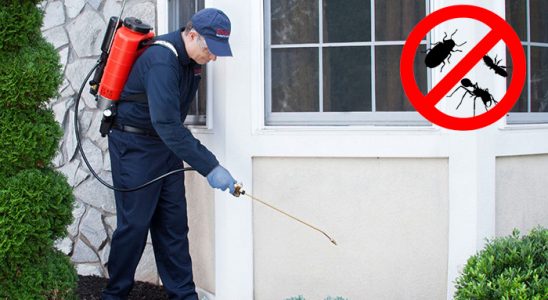 Kula Bit İlaçlama böcek ilaçlama ve haşere kontrolü — ilaclama-tr.com